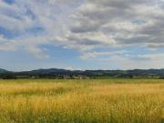 Terreno in vendita a Ozzano dell'Emilia BO
