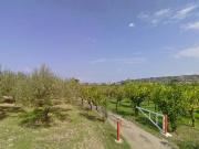 Terreno in vendita a Pace del Mela ME