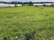 Terreno in vendita a Pachino SR