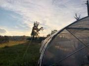 Terreno in vendita a Padenghe sul Garda BS