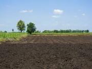 Terreno in vendita a Padova PD