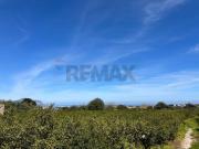 Terreno in vendita a Palermo PA