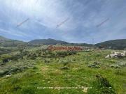 Terreno in vendita a Palermo PA