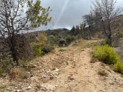 Terreno in vendita a Palermo PA