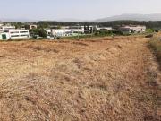 Terreno in vendita a Paliano FR