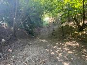Terreno in vendita a Palma Campania NA