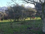 Terreno in vendita a Palombara Sabina RM