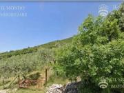 Terreno in vendita a Palombara Sabina RM