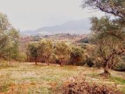 Terreno in vendita a Palombara Sabina RM