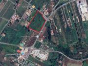 Terreno in vendita a Palombara Sabina RM