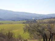 Terreno in vendita a Panicale PG