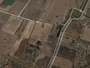 Terreno in vendita a Parabita LE