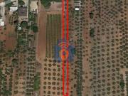 Terreno in vendita a Partanna TP