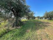 Terreno in vendita a Partinico PA