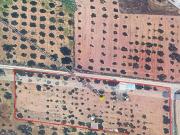 Terreno in vendita a Partinico PA