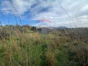 Terreno in vendita a Partinico PA