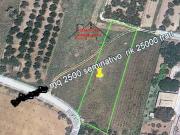 Terreno in vendita a Partinico PA