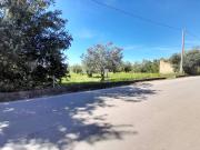 Terreno in vendita a Pastorano CE