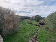 Terreno in vendita a Paternò CT