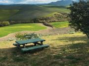 Terreno in vendita a Peccioli PI