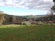 Terreno in vendita a Peccioli PI