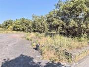 Terreno in vendita a Pedara CT