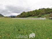Terreno in vendita a Pergine Valsugana TN