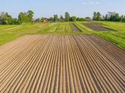 Terreno in vendita a Pergine Valsugana TN