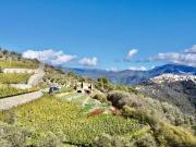 Terreno in vendita a Perinaldo IM