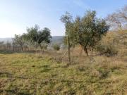 Terreno in vendita a Perugia PG