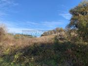 Terreno in vendita a Pesaro PU