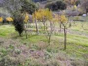 Terreno in vendita a Pesaro PU