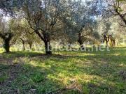 Terreno in vendita a Pesaro PU
