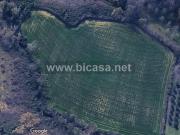 Terreno in vendita a Pesaro PU