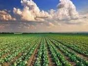 Terreno in vendita a Pesaro PU Terreno in vendita a Pesaro PU