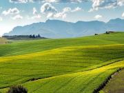 Terreno in vendita a Pesaro PU