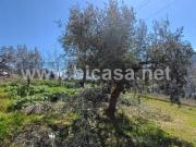 Terreno in vendita a Pesaro PU
