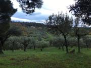 Terreno in vendita a Pescara PE