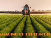 Terreno in vendita a Pescara PE