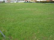 Terreno in vendita a Pettorazza Grimani RO