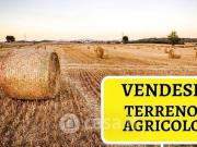 Terreno in vendita a Piedimonte Etneo CT