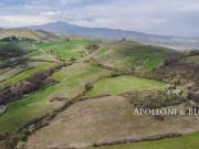 Terreno in vendita a Pienza SI