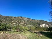 Terreno in vendita a Pietrabruna IM