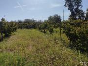 Terreno in vendita a Pietradefusi AV