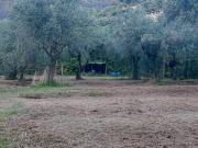 Terreno in vendita a Pietrasanta LU