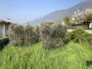 Terreno in vendita a Pieve del Grappa TV