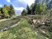Terreno in vendita a Pievepelago MO