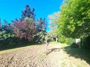 Rustico in vendita a Piombino