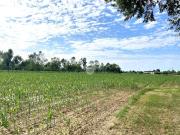 Terreno in vendita a Piombino Dese PD