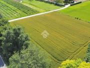 Terreno in vendita a Piombino Dese PD
